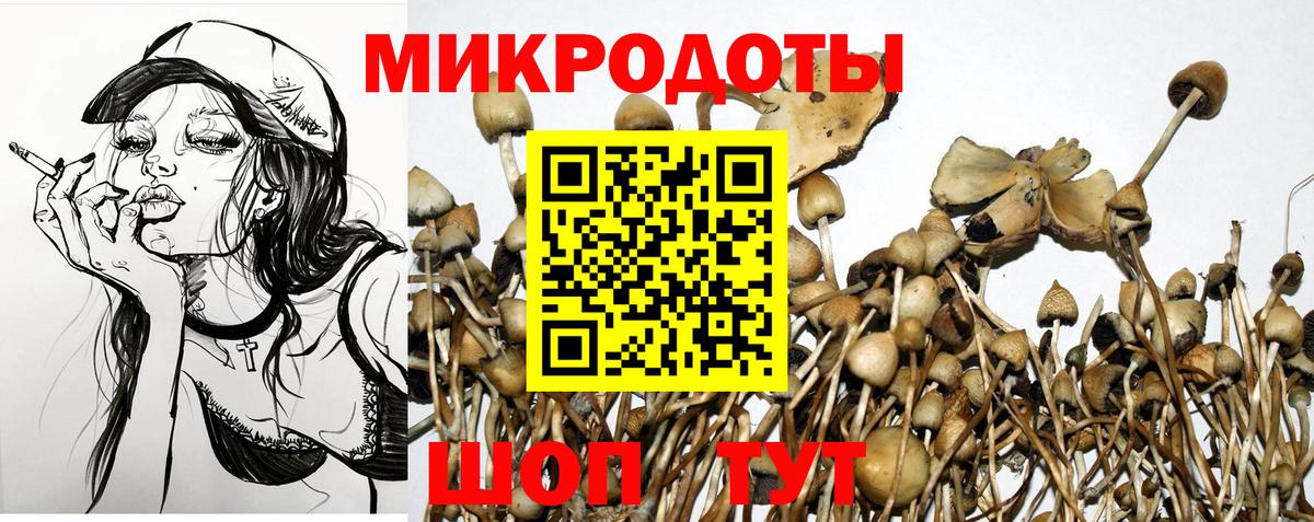 Псилоцибиновые грибы мухоморы  магазин продажи наркотиков  Вход с VPN  Лысьва  Псилоцибиновые грибы Cubensis 